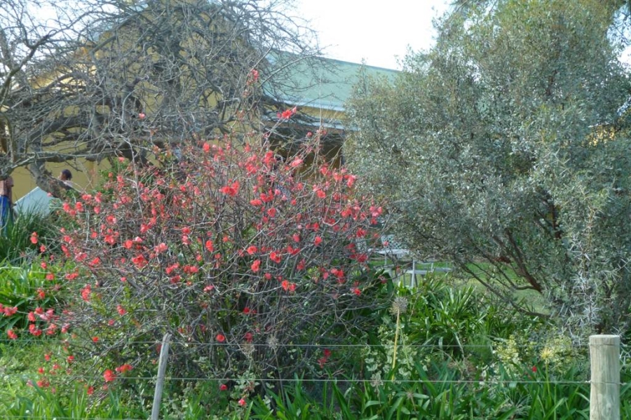 10 Bedroom Property for Sale in Ladismith Rural Western Cape